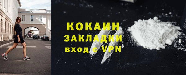 spice Богородицк