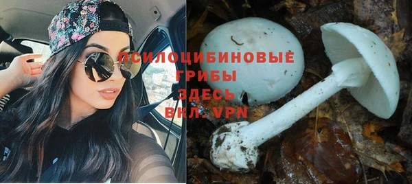 соль ск Балабаново