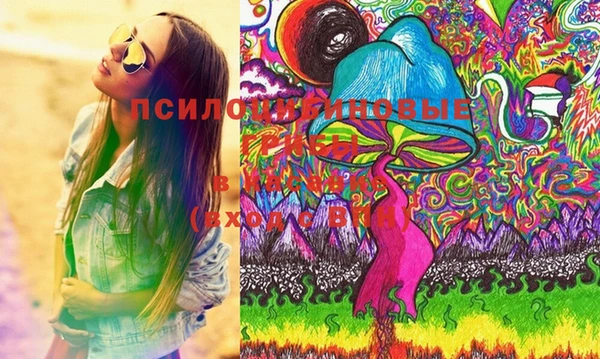 молекула духа Пересвет